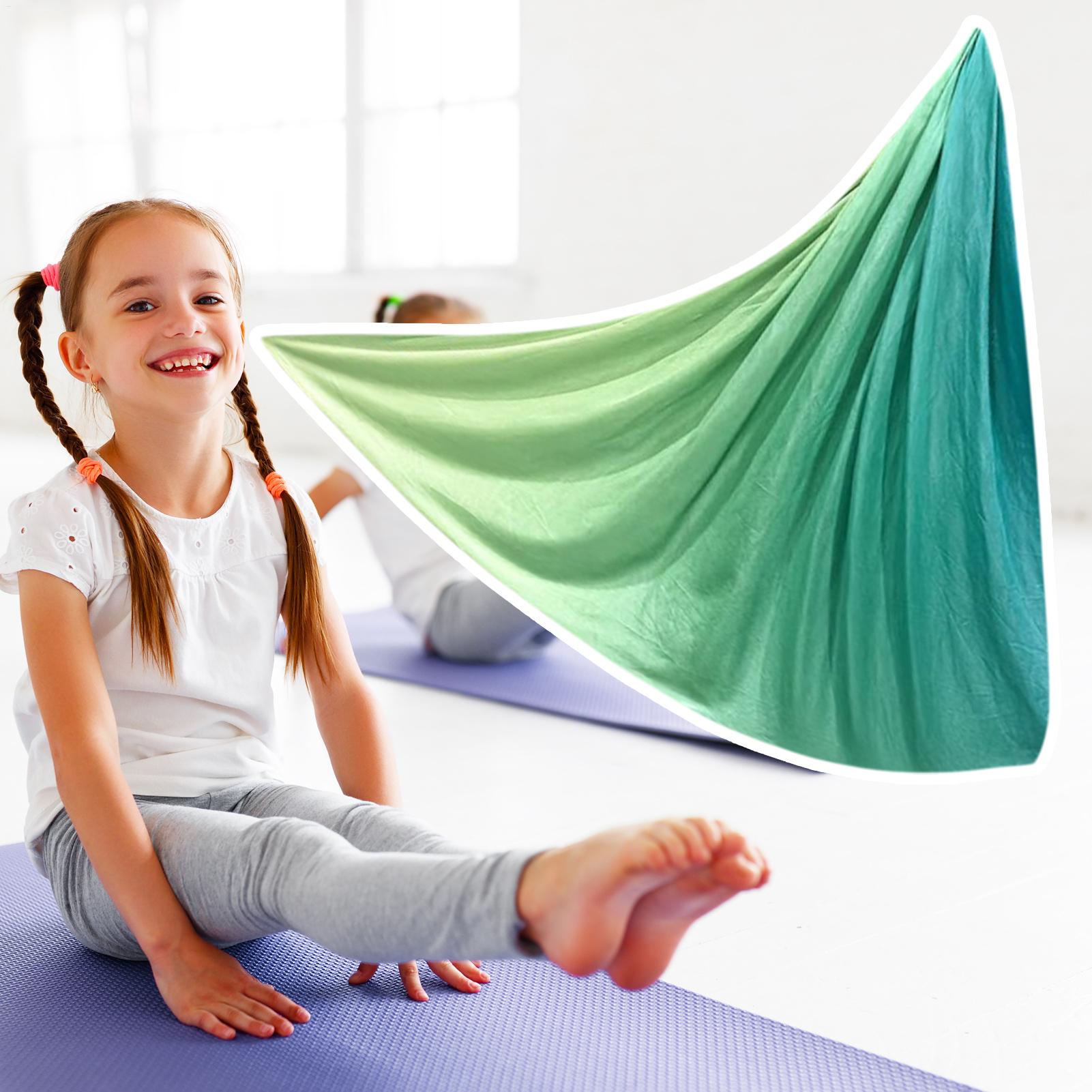 Yoga Swing Aerial Silks Elasti - огляд і ціна Aerial Silk Hammock